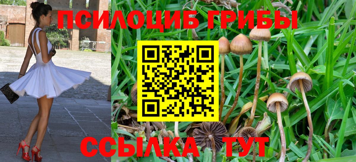 Изобильный  Псилоцибиновые грибы Magic Shrooms  Вход с VPN  Галлюциногенные грибы Magic Shrooms 